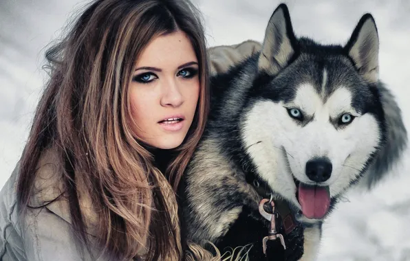 Глаза, девушка, собака, girl, blue, eyes, хаски, dog