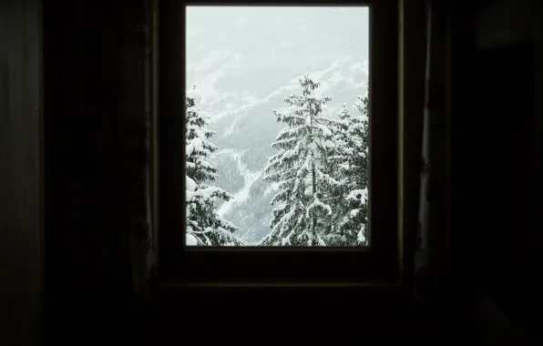 Зима, снег, деревья, комната, вид, склон, окно, trees