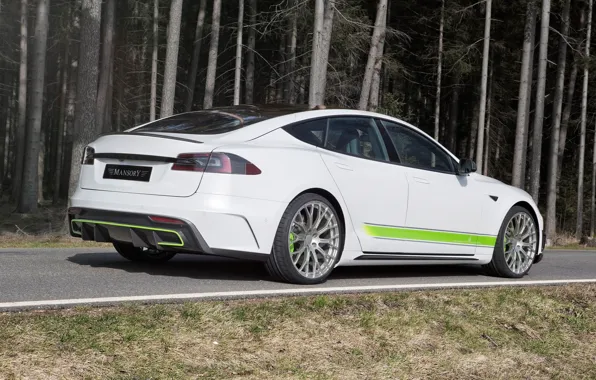 Вид сзади, Tesla, Mansory, Model S, 2016
