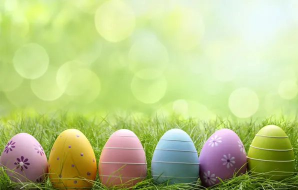 Картинка трава, поляна, яйца, Пасха, flowers, spring, Easter, eggs