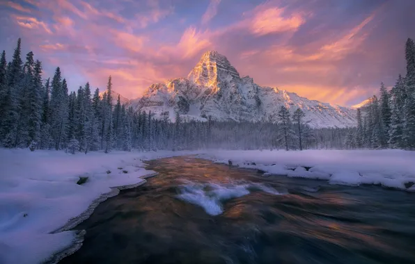 Картинка зима, лес, снег, река, поток, Канада, Альберта, Национальный парк Банф