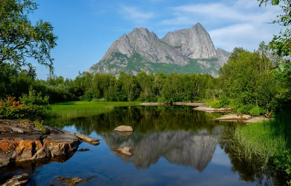 Картинка зелень, лес, небо, трава, солнце, облака, деревья, горы