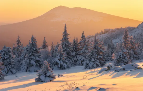 Зима, снег, деревья, пейзаж, природа, гора, ели, тени