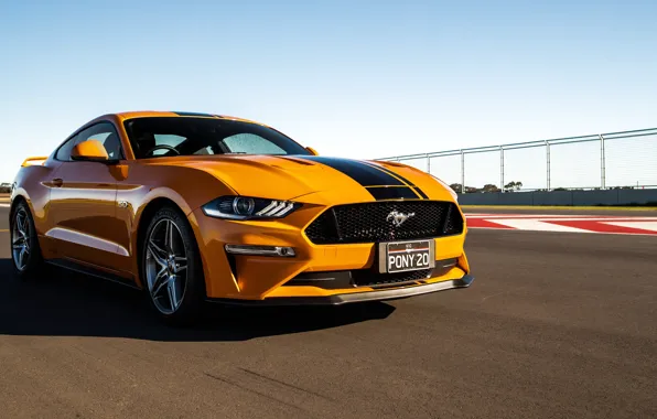 Ford, Fastback, 2018, Mustang GT