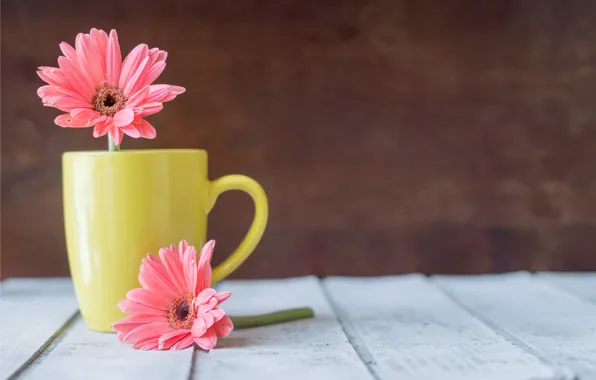 Картинка цветы, кружка, хризантемы, wood, pink, flowers, mug