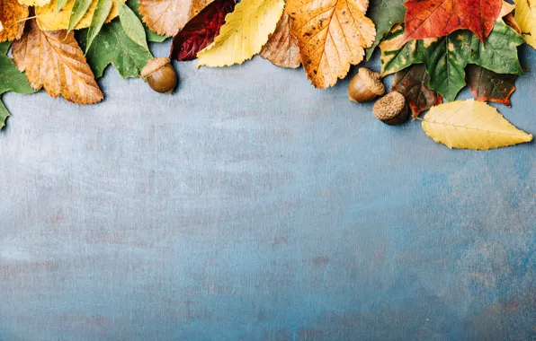 Осень, листья, фон, colorful, wood, background, autumn, leaves