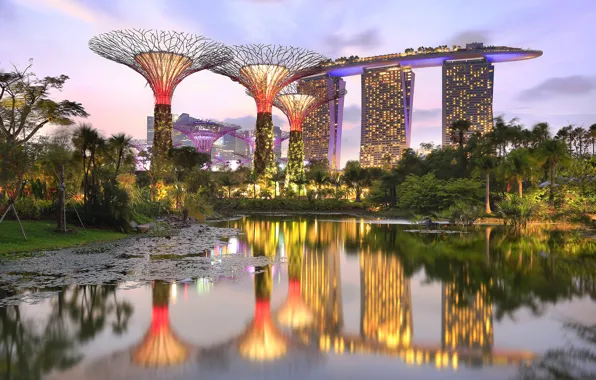 Пруд, парк, Сингапур, отель, Singapore, Marina Bay Sands, Gardens by the Bay, Parks