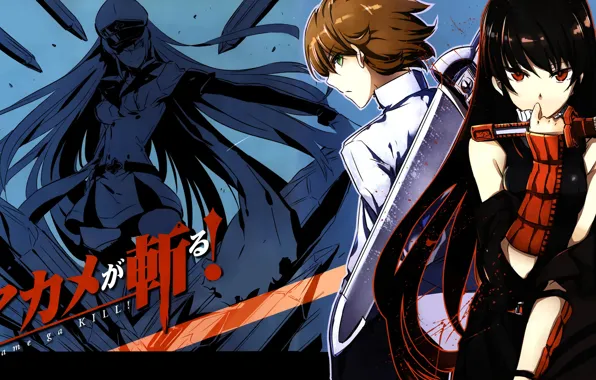Арт, убийца Акаме, akame ga kill