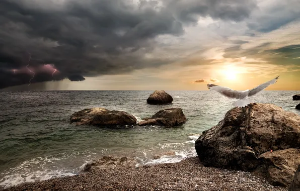 Картинка море, закат, beach, sky, sea, sunset, wave