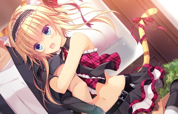 Takano yuki, neko-nin exheart, nekokai ritsu