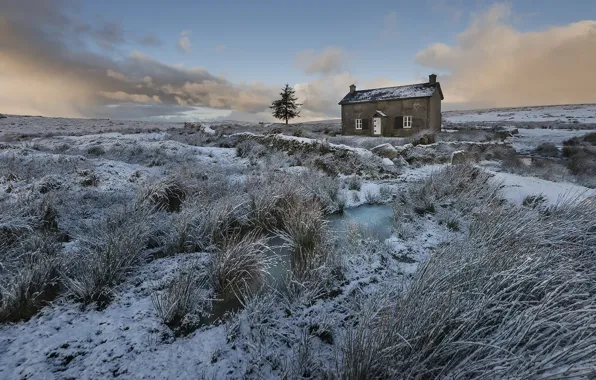 Зима, поле, дом
