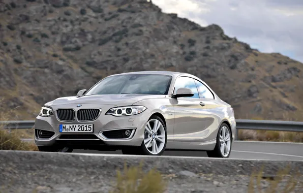 BMW, Coupe, 2013, 2 Series