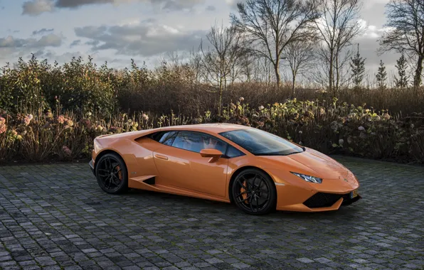 Lamborghini, Orange, Huracan, LP610-4