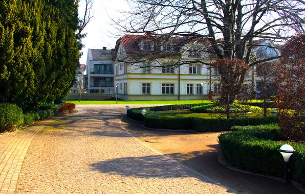 Park, alley, building