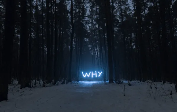 Forest, why, neon