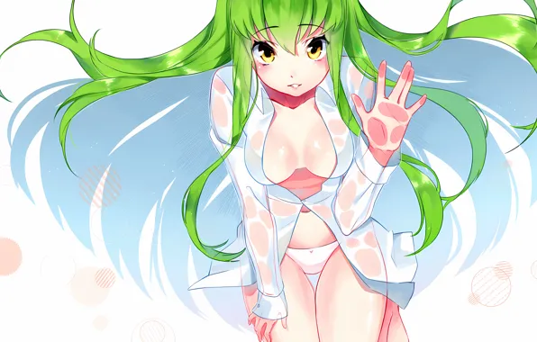Girl, sexy, lingerie, pantsu, cleavage, Code Geass, panties, long hair