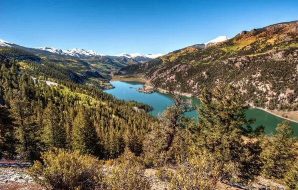 Картинка лес, Колорадо, Colorado, Скалистые горы, Lake San Cristobal, Rocky Mountains, Hinsdale County, озеро Сан-Кристобаль