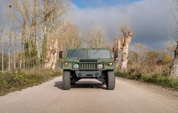 Green, Hummer, Front view