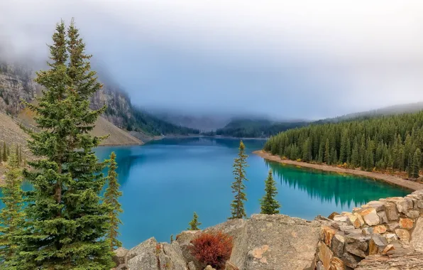 Деревья, пейзаж, горы, озеро, Канада, Альберта, Moraine Lake