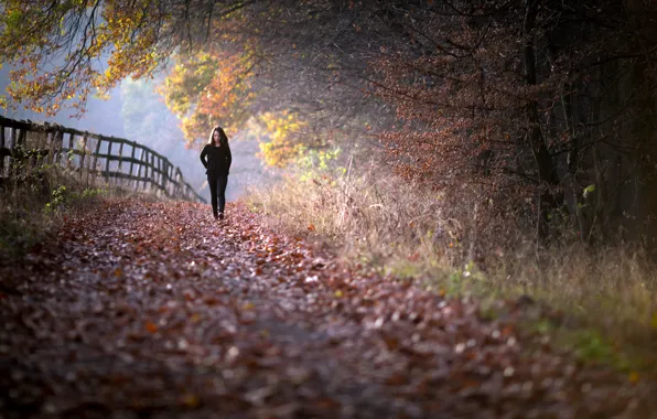 Картинка осень, девушка, забор, ограда, прогулка