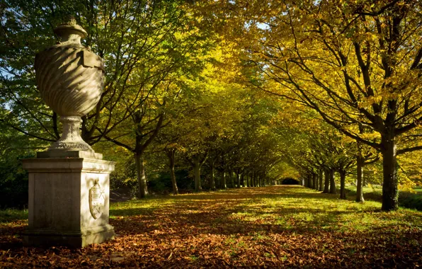 Картинка осень, деревья, парк, Англия, аллея, England, Cambridge, Кембридж