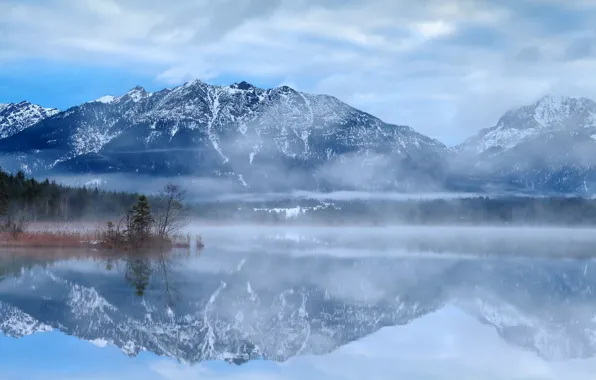 Картинка зима, лес, вода, облака, снег, деревья, горы, туман