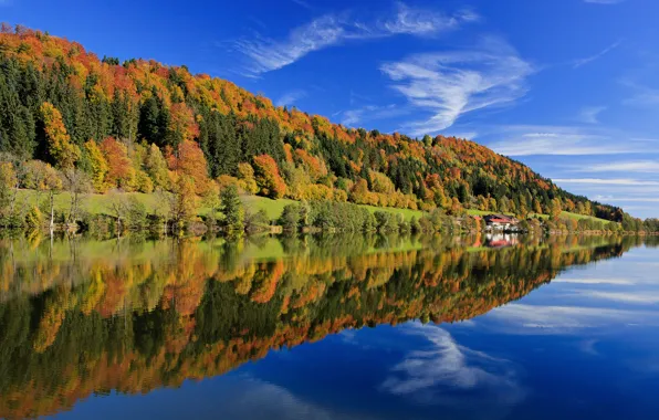 Осень, лес, небо, листья, облака, деревья, озеро, отражение