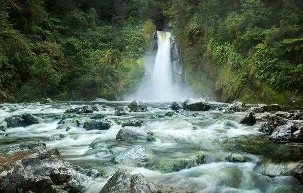 Картинка лес, деревья, скала, ручей, камни, водопад, Новая Зеландия, Fiordland