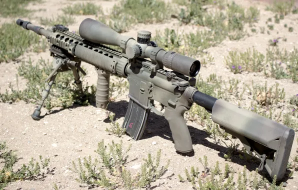 Оружие, оптика, штурмовая винтовка, сошка, Mk12