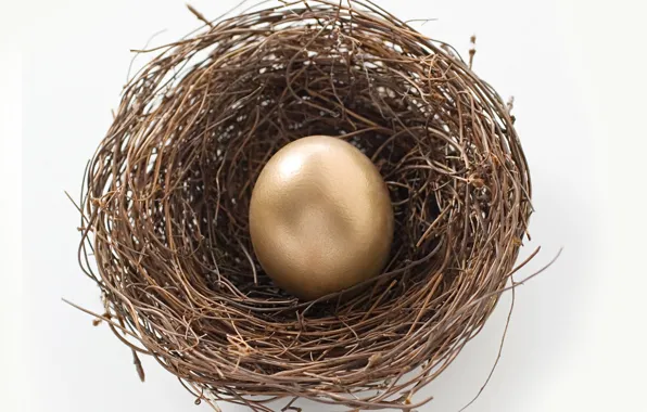Картинка яйцо, гнездо, золотое