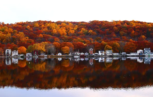 Картинка осень, река, дома