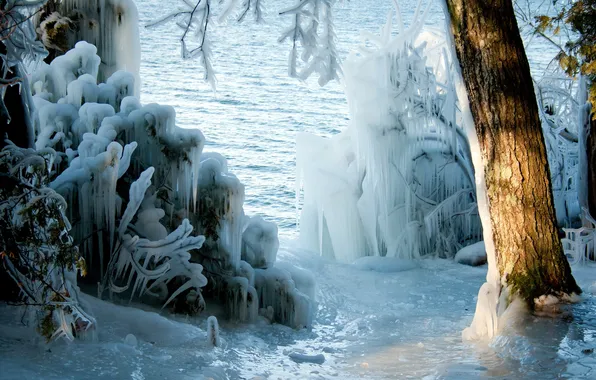 Картинка зима, природа, дерево, лёд