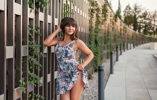 Картинка dress, legs, model, pretty, Георгий Дьяков