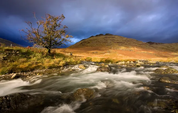 Природа, река, камни, дерево, гора, поток