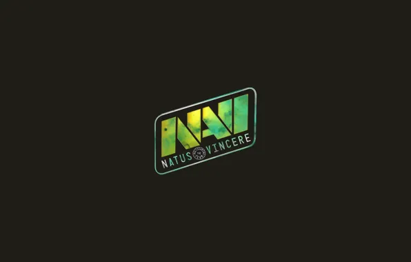 Team, ukraine, csgo, navi, vincere, natus, pro-team