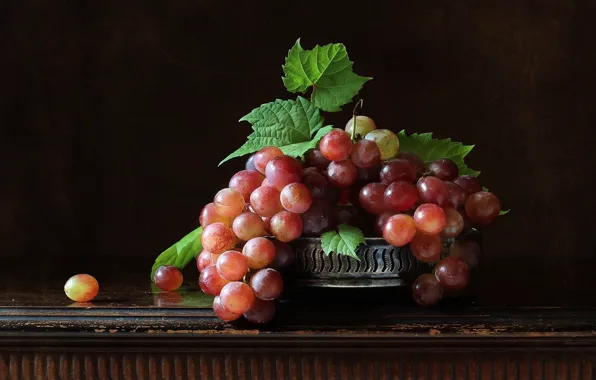 Картинка фон, виноград, гроздья
