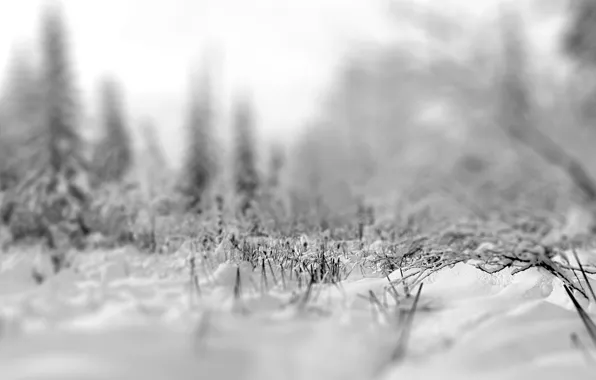 Картинка снег, Зима, фокус