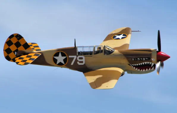 Картинка полет, истребитель, Warhawk, P-40N