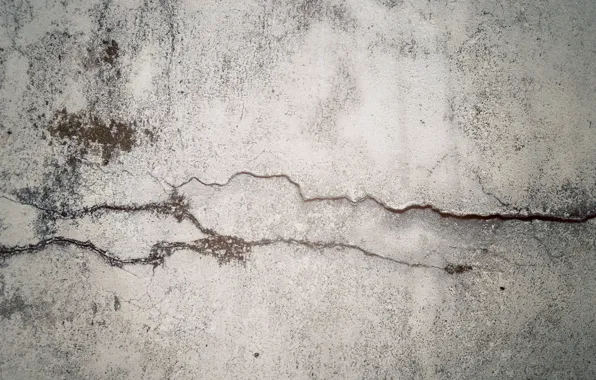 Стена, мох, бетон, трещина, crack in time, fancq