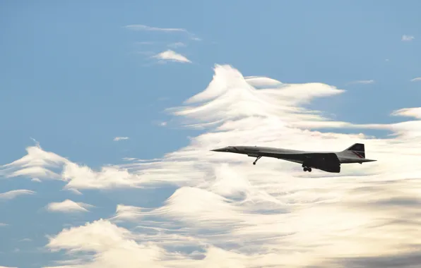 Картинка British Airways, Concorde, Speedbird