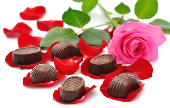 Картинка цветы, шоколад, красота, букет, конфеты, rose, красивые, beautiful