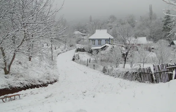 Картинка зима, Кубань, станица, Akela White, Краснодарский край