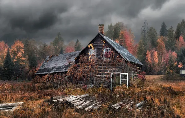 Картинка осень, лес, дом