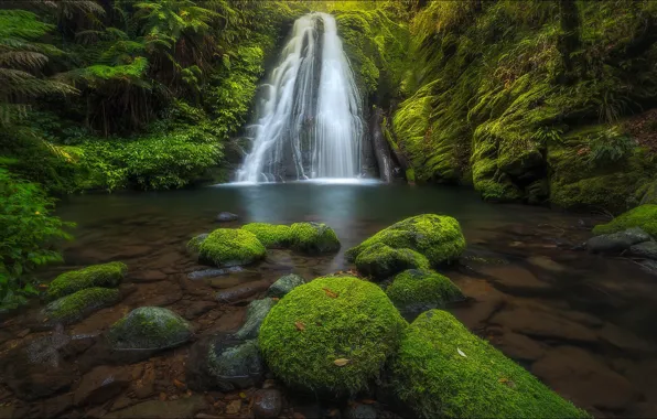 Лес, пейзаж, природа, водопад, красота, forest, landscape, nature