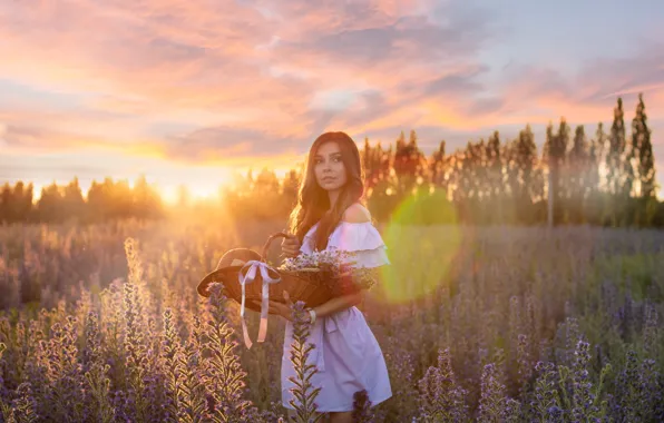 Картинка sky, long hair, dress, field, hat, sunset, flowers, model