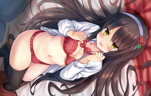 Girl, sexy, lingerie, bra, cleavage, panties, thighhighs, long hair