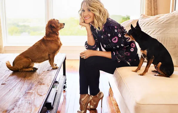 Картинка собаки, поза, улыбка, окно, прическа, блондинка, певица, Carrie Underwood