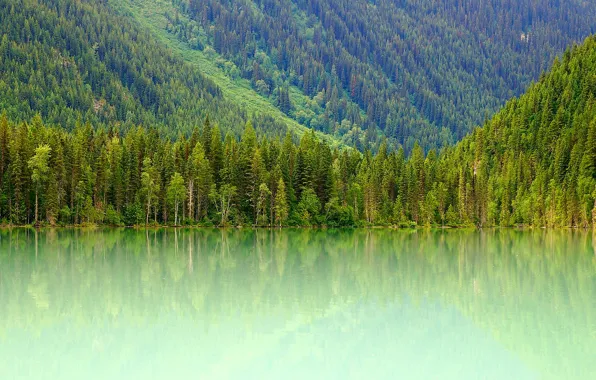 Картинка лес, горы, озеро, склон, Канада, Canada, Mount Robson, Kinney Lake