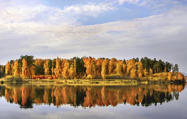 Картинка forest, trees, landscape, nature, lake