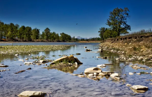 Картинка деревья, река, камни, Канада, Альберта